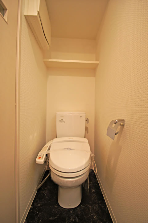 Toilet. Bidet with function