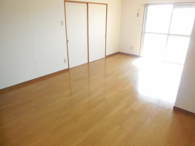 Living and room. Sunny