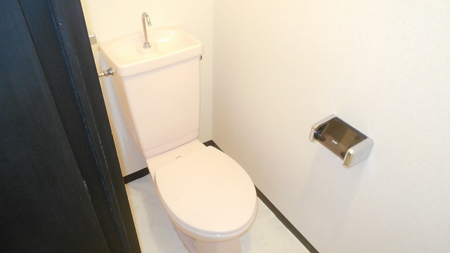 Other room space. Toilet with cleanliness