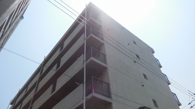 Other. Appearance (in a different angle)