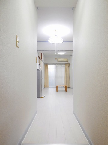 Living and room. Entrance of the former is like another world