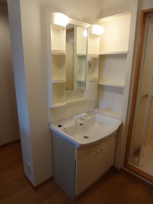 Washroom. Wash basin