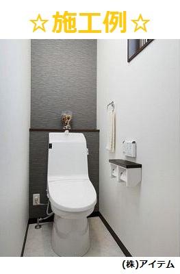 Toilet. Interior construction cases!