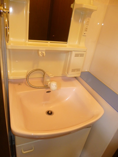 Other. With separate wash basin