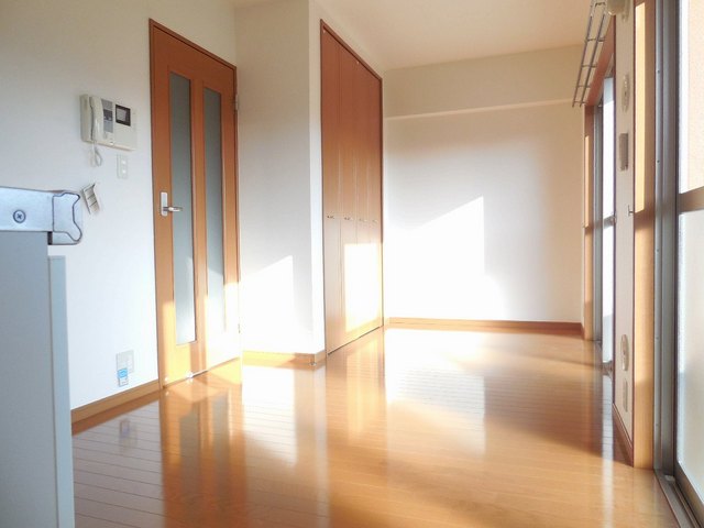 Living and room. Sunny