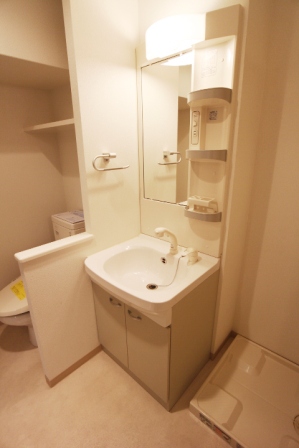 Washroom. Bathroom vanity