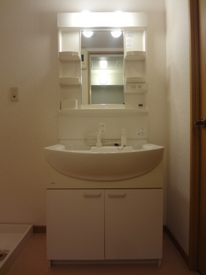 Washroom. Wash basin