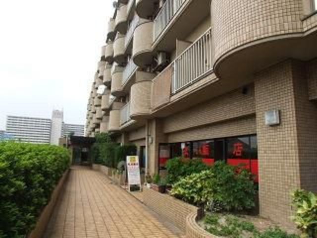 Other. Appearance image