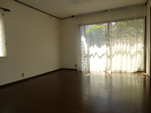 Living and room. Living