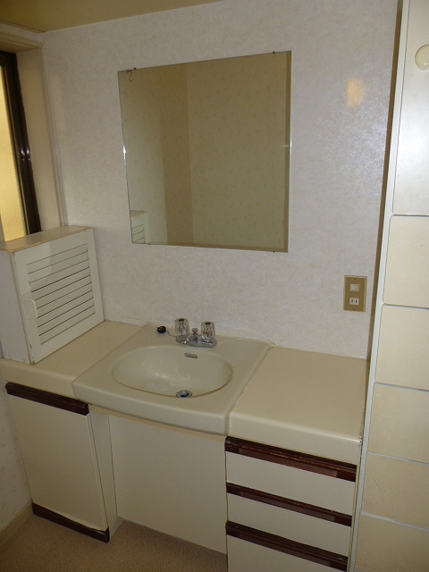 Washroom. Wash basin with storage