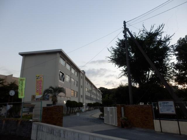 Other local. Tane Hatta School