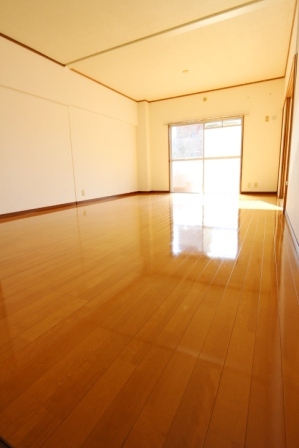 Living and room. Living