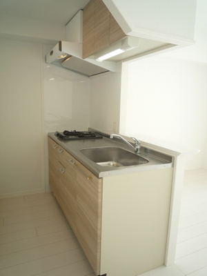 Kitchen. Counter Kitchen