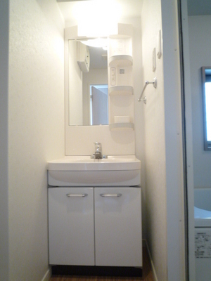 Washroom. Wash basin