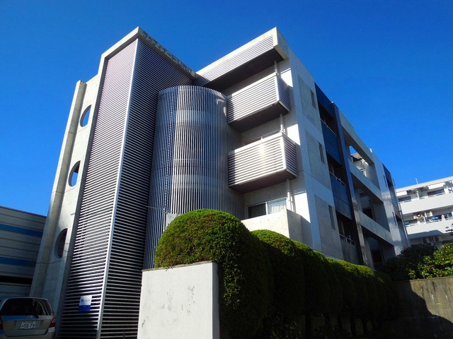 Other. Stylish appearance