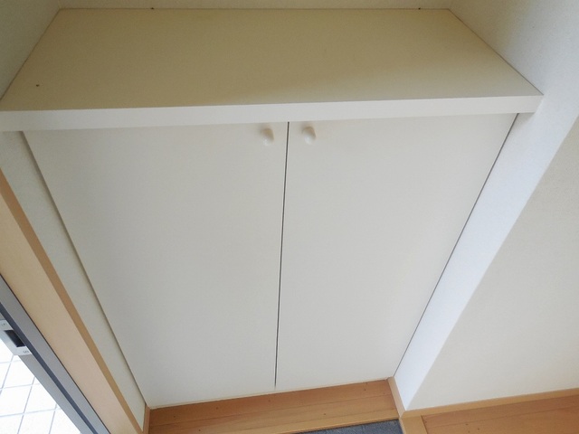 Other room space. Entrance storage