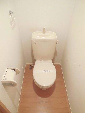 Other room space. Toilet with cleanliness