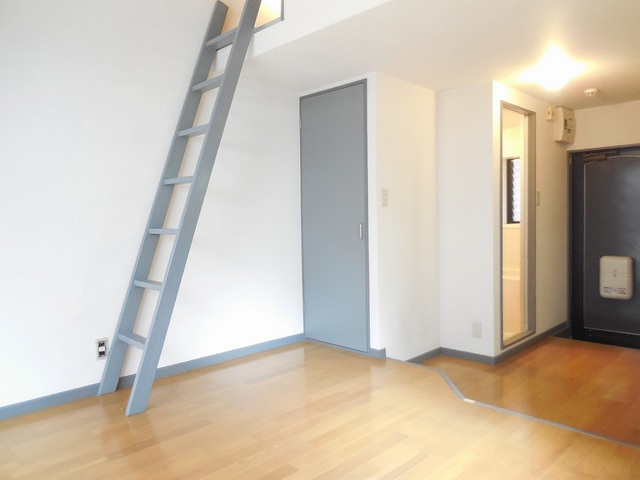 Other room space. Loft is a ladder