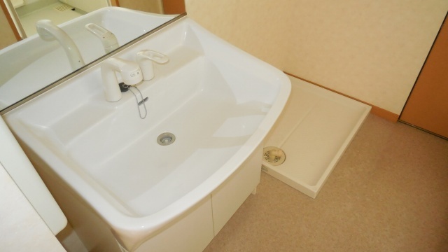 Washroom. Shampoo dresser