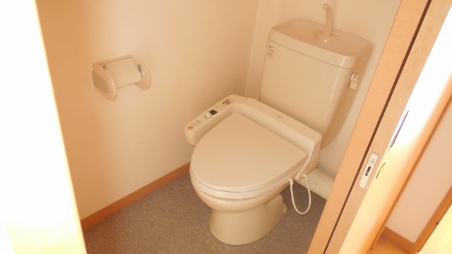Other room space. Shower toilet