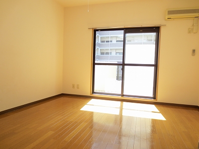 Living and room. Living