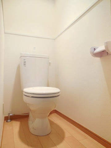 Other room space. Toilet