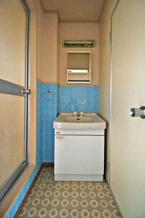 Washroom. Wash basin