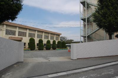 Primary school. Rub 350m up to elementary school (elementary school)