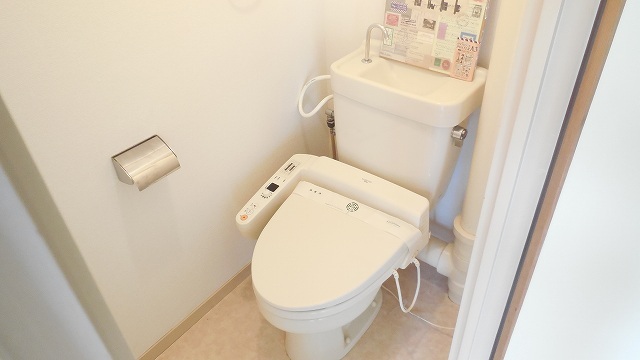 Toilet. Shower toilet