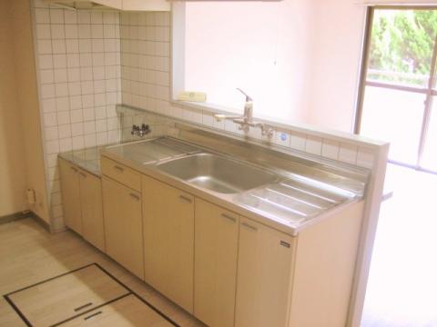 Kitchen. Popular counter kitchen