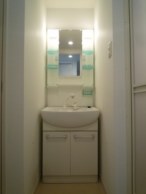 Washroom. Shampoo dresser