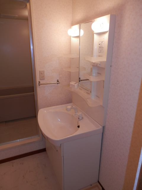 Washroom. It is quite beautiful shampoo dresser is almost as good as new!