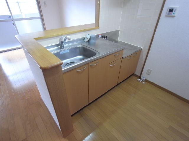 Kitchen. Kitchen (isomorphic another in Room photo)