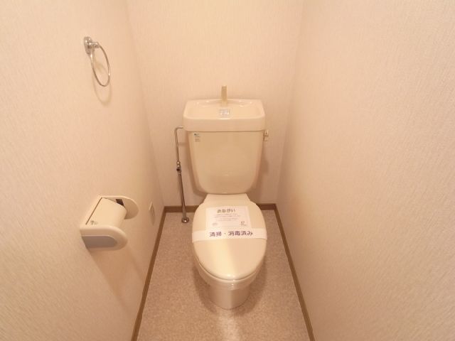 Toilet. Toilet (isomorphic another in Room photo)