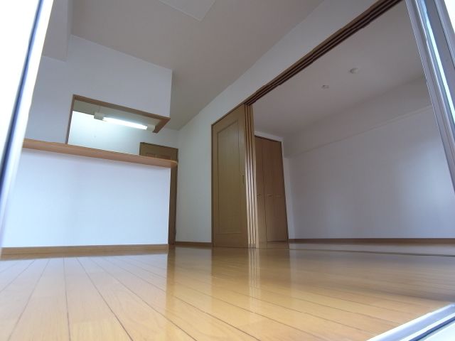 Living and room. It is living (isomorphic another in Room photo)