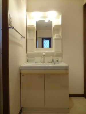 Washroom. Wash basin