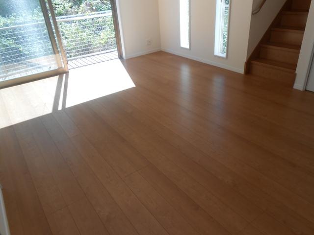 Living. Local shooting (September 2013)