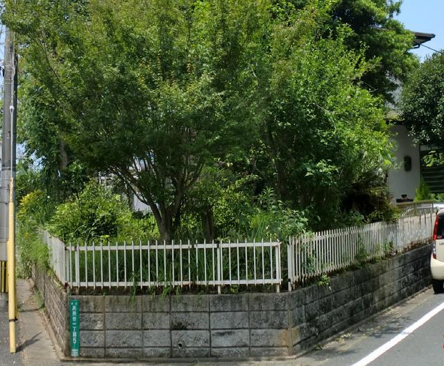 Local photos, including front road