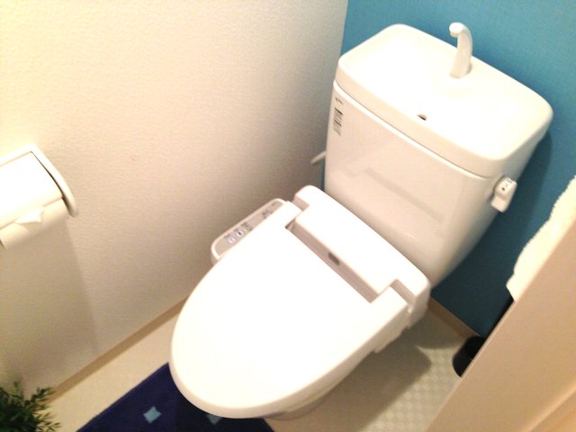 Toilet. Bidet with toilet.