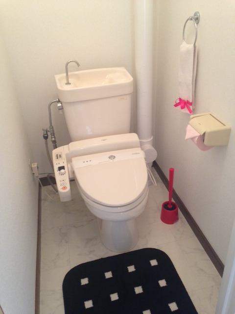 Toilet. Cleaning toilet seat with! 