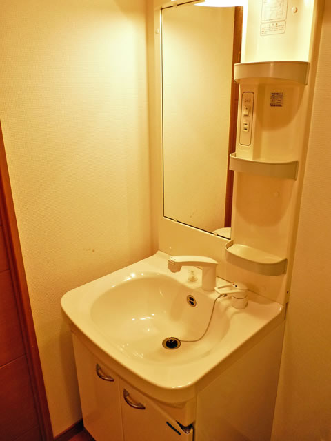 Washroom. Shampoo dresser