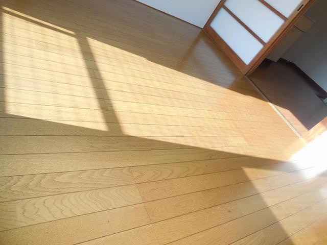 Living and room. Bright flooring