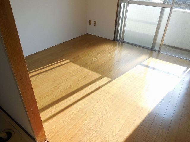 Living and room. Bright flooring