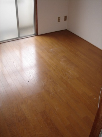 Living and room. Bright flooring