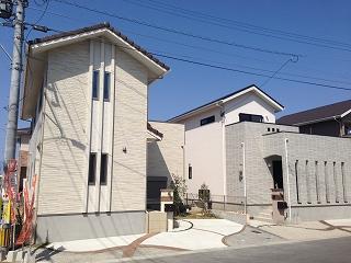 Local photos, including front road. Local (12 May 2013) Shooting