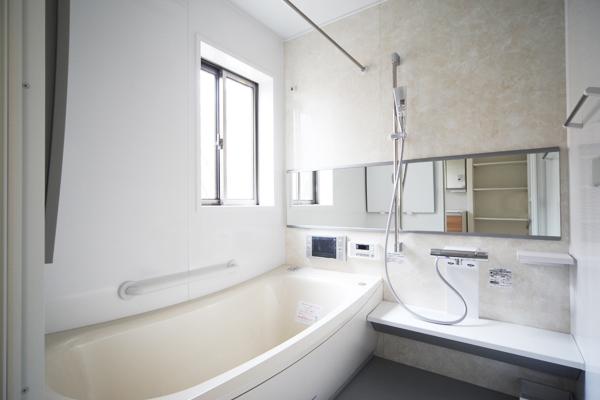 Bathroom. Indoor (12 May 2013) shooting No. 10 place, bath