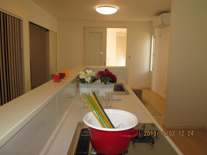 Kitchen. Indoor (12 May 2013) shooting No. 10 land introspection. Island Kitchen