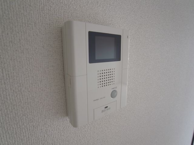 Security. TV monitor Hong