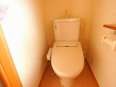 Toilet. The photograph is a property of the same manufacturer and construction