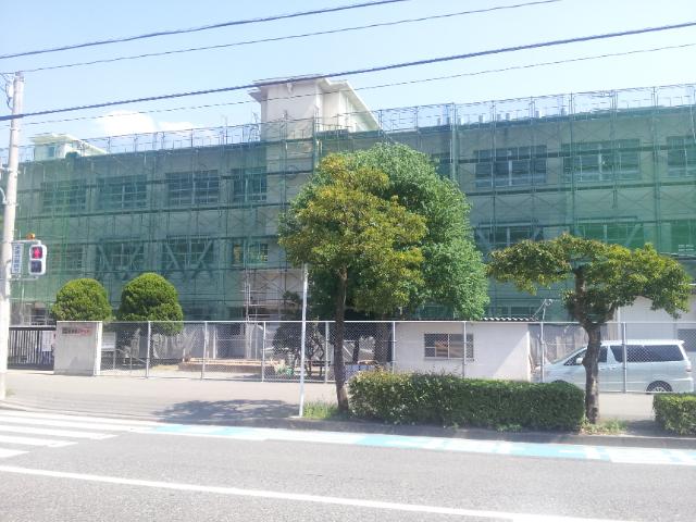 Junior high school. Kashii 800m until the first junior high school